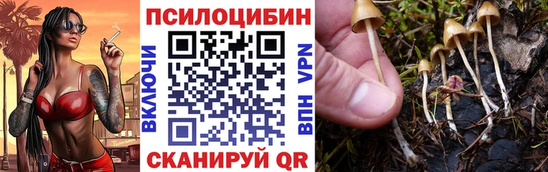 гидра рабочий сайт Жирновск Псилоцибиновые грибы MAGIC MUSHROOMS